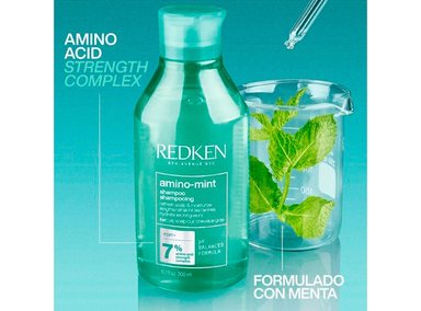 SHAMPOO REDKEN PARA CUERO CABELLUDO GRADO AMINO MINT 300ML - 2