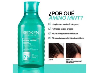 SHAMPOO REDKEN PARA CUERO CABELLUDO GRADO AMINO MINT 300ML - 3