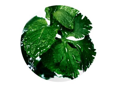PERFUME DAVIDOFF COOL WATER HOMBRE EDT 200 ML - 7