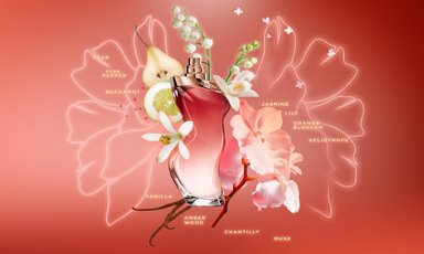 PERFUME SHAKIRA DANCE MIDNIGHT MUJER EDT 80 ML - 6