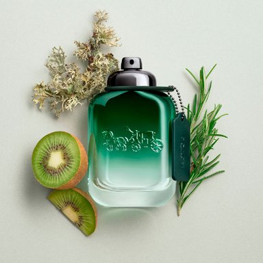 PERFUME COACH GREEN HOMBRE EDT 100 ML - 3
