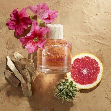 PERFUME HOLLISTER CANYON ESCAPE MUJER EDP 100 ML - 3