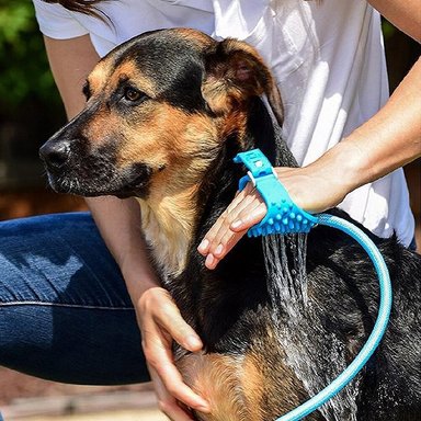 DUCHA DE BAÑO PERROS Y GATOS DCHBÑAQ AQUAPAW - 2