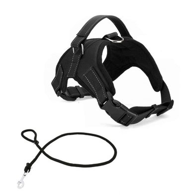 ARNÉS PERROS ERGONÓMICO + SOGA GRUESA TRENZADA