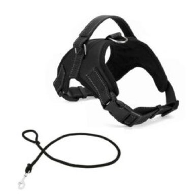 ARNÉS PERROS ERGONÓMICO/ SOGA GRUESA XS