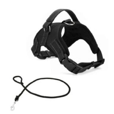 ARNÉS PERROS ERGONÓMICO/ SOGA GRUESA XL