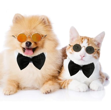 LENTES REDONDOS PARA MASCOTAS - 1
