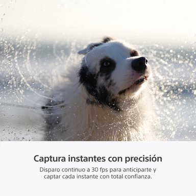 SONY CÁMARA PROFESIONAL ALPHA MIRRORLESS ILCE-7M5 - 9