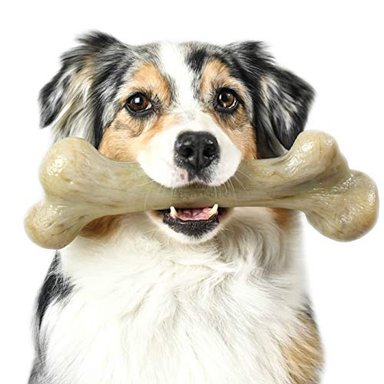 JUGUETE PERRO HUESO DE DINOSAURIO PARA MASTICADORES AGRESIVOS PET QWERKS