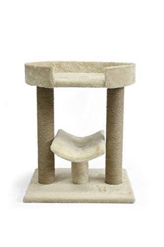 ÁRBOL GATO PLATAFORMAS REGULARES AMAZON BASICS