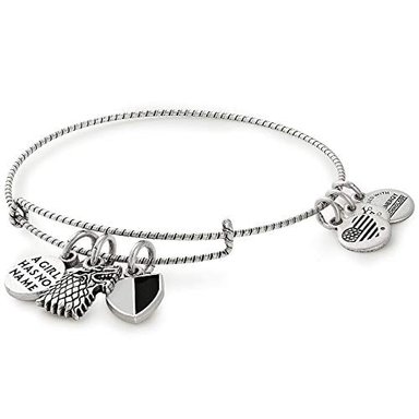 ALEX AND ANI GAME OF THRONES ARYA STARK CHARM BANGLE
