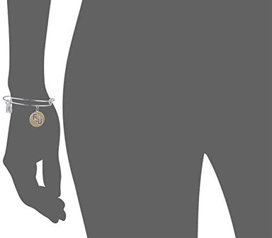 ALEX AND ANI COLOR INFUSION FLORIDA STATE UNIVERSITY LOGO II BRAZALETE LATÍN PLATEADO BRILLANTE AS18COL01SS - 2