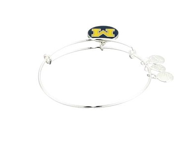 ALEX AND ANI COLOR INFUSION UNIVERSITY OF MICHIGAN LOGO II BRAZALETE - 3