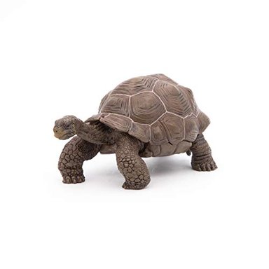 PAPO CIFRA 'GALAPAGOS TORTOISE TOY FIGURE