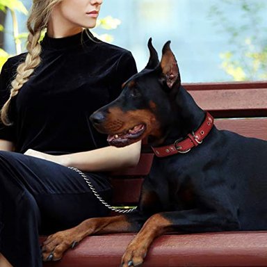 COLLAR PERROS PETS FIRST SAN FRANCISCO 49ERS SIGNATURE PRO - 3