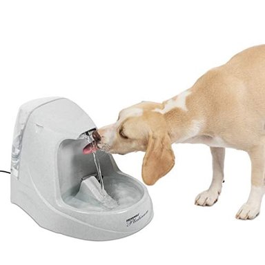 DISPENSADOR PERRO Y GATO AGUA DRINKWELL PLATINUM FUENTES MASCOTA LO MEJOR PEQUEÑOS A MEDIANOS PETSAFE