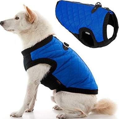 CHALECO PERRO GOOBY MODA PEQUEÑO SUÉTER CHAQUETA CAZADORA CON PECHERA ELÁSTICA
