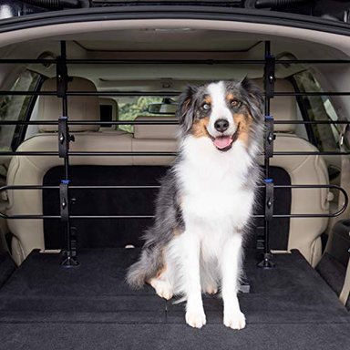 PETSAFE HAPPY RIDE - BARRERA DE METAL PARA PERRO DISEÑO TUBULAR TRANSPARENTE SE ADAPTA A LA MAYORÍA DE COCHES MINIVANS