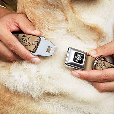 COLLAR BUCKLE-DOWN SEATBELT BUCKLE DOG - DANCING BEARS TAN/BLACK - 2