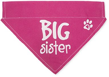 PAVILION GIFT COMPANY 45614 PAVILION'S PETS - BANDANA GRANDE PARA PERRO CON ESTAMPADO DE HUELLAS DE PATAS COLOR ROSA