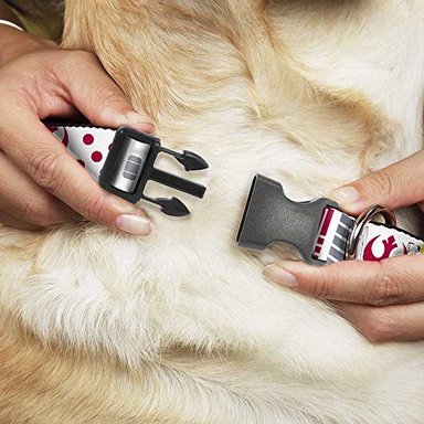 COLLAR PERROS BUCKLE-DOWN CON HEBILLA Y CLIP DE PLÁSTICO STAR WARS REBEL PILOT REBEL ALLIANCE INSIGNIA X WING FIGHTER DISPONIBLE - 2