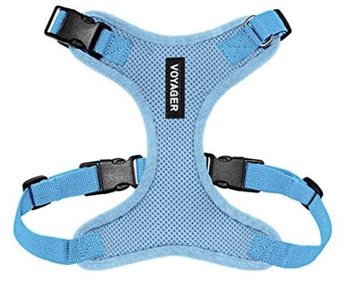 BEST PET SUPPLIES VOYAGER - ARNÉS PARA MASCOTAS SEGURO Y ESTILO DE METER DESDE LAS PATAS DE MALLA PARA TODO TIPO DE CLIM