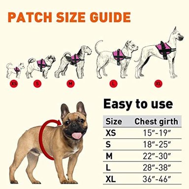 ARNÉS PERROS DOGLINE CHALECO Y 2 PARCHES EXTRAÍBLES PARA RAZAS GRANDES 28 A 38' ROSA - 4