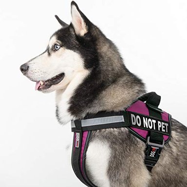 ARNÉS PERROS DOGLINE CHALECO Y 2 PARCHES EXTRAÍBLES PARA RAZAS GRANDES 28 A 38' ROSA - 5
