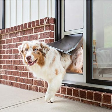 PETSAFE PUERTAS CORREDERAS DE CRISTAL PARA MASCOTAS PUERTA DE CLIMA EXTREMO O PUERTA ESTÁNDAR DE 2 PIEZAS PUERTA DE GATO