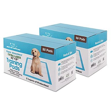 BEST PET SUPPLIES - PROTECTOR PARA CACHORROS Y PERROS EN ENTRENAMIENTO ULTRA ABSORBENTE RESISTENTE A LAS FUGAS