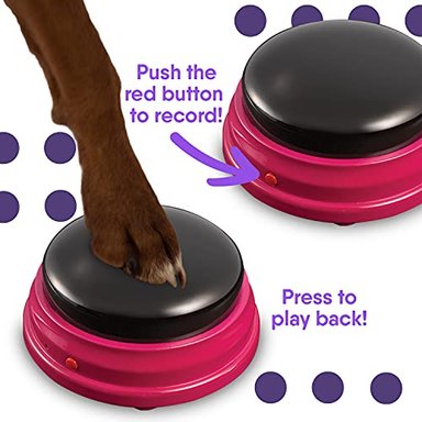 JUEGO DE BOTENES GRABABLES PARA PERROS TALKING PET - 2