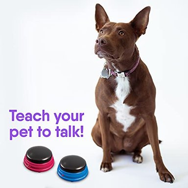 JUEGO DE BOTENES GRABABLES PARA PERROS TALKING PET - 3