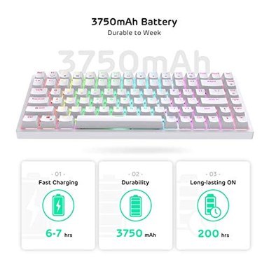 TECLADO RK ROYAL KLUDGE 802933041 COLOR BLANCO WIRELESS BLUETOOTH LIGHTING - 5