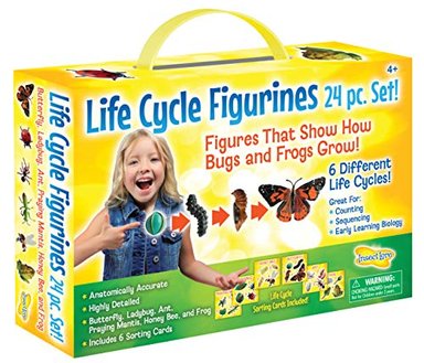 INSECT LORE LIFE CYCLE FIGURINES - JUEGO DE 24 PIEZAS COLOR MARRÓN