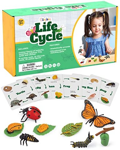 GLINGLONG KIT DE CICLO DE VIDA MONTESSORI - JUGUETES REALISTAS CON FIGURA DE JUGUETE PARA NIÑOS