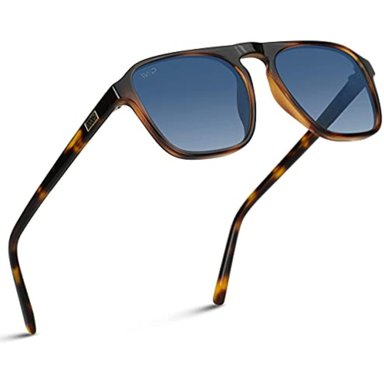 LENTES DE SOL WEARME PRO HOMBRE MARRON
