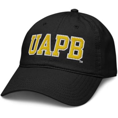 GORRA DE BÉISBOL AJUSTABLE CON LICENCIA OFICIAL DEL TÍTULO GOLDEN LIONS DE ARKANSAS PINE BLUFF