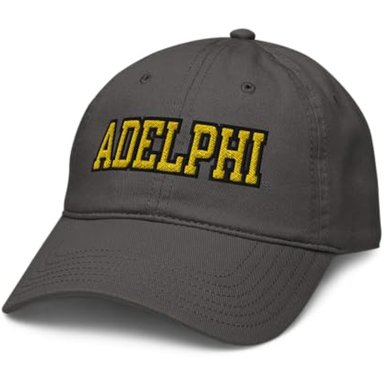 ELITE AUTHENTICS ADELPHI PANTHERS TITLE - GORRA DE BÉISBOL AJUSTABLE CON LICENCIA OFICIAL