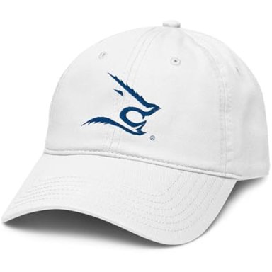 ELITE AUTHENTICS TEXAS A M KINGSVILLE JAVELINAS ICON - GORRA DE BÉISBOL AJUSTABLE CON LICENCIA OFICIAL