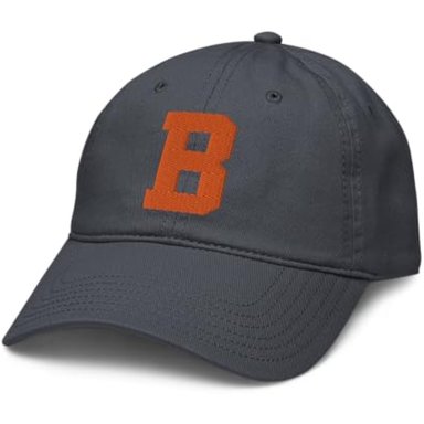 ELITE AUTHENTICS BUCKNELL BISON ICON - GORRA DE BÉISBOL AJUSTABLE CON LICENCIA OFICIAL