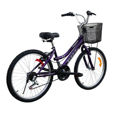 BICICLETA BOX CAMPERA ARO 24 - MORADO - 3