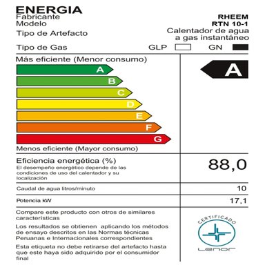 TERMA A GAS 10 L RHEEM GN TIRO FORZADO - 6