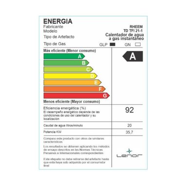 TERMA A GAS RHEEM 21L GAS LICUADO GLP TIRO FORZADO - 6