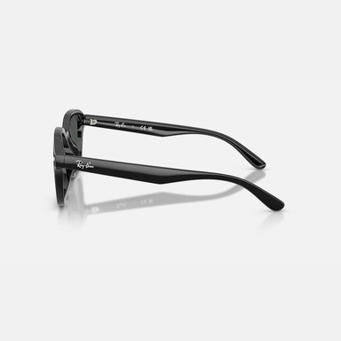LENTES DE SOL UV400 UNISEX RB4458D 601/87 65 RAY BAN - 9
