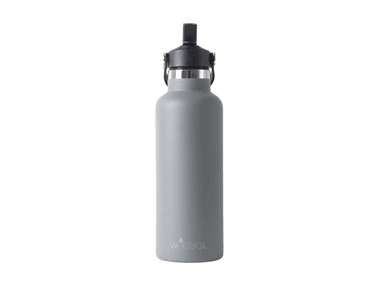 BOTELLA WECOOL 650ML TÉRMICA TAPA CON PICO GRIS