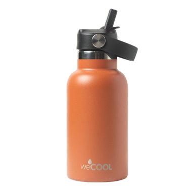 BOTELLA TÉRMICA PARA NIÑOS DE ACERO INOXIDABLE MARCA WECOOL