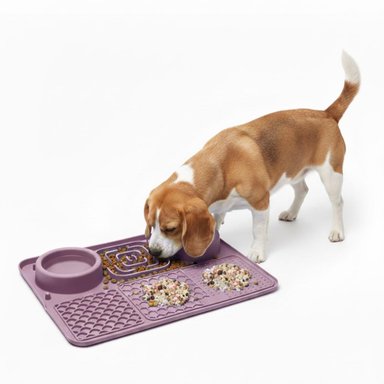 PLATO ANTIESTRÉS PARA MASCOTAS MEJORA DIGESTIÓN PERROS Y GATOS 6 EN 1 COMEDERO BEBEDERO TAMAÑO M