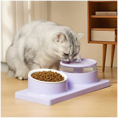 COMEDERO Y BEBEDERO CON FUENTE DE AGUA ELÉCTRICO PARA MASCOTAS GATO PERRO TAMAÑO M