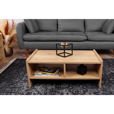 MESA DE CENTRO R&R MUEBLES HUSK MODERNO MARRON