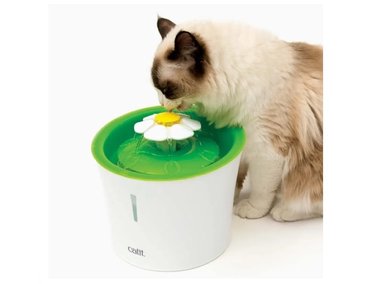 BEBEDERO GATO CAT IT FUENTE AGUA FLOWER FOUNTAIN 3 L